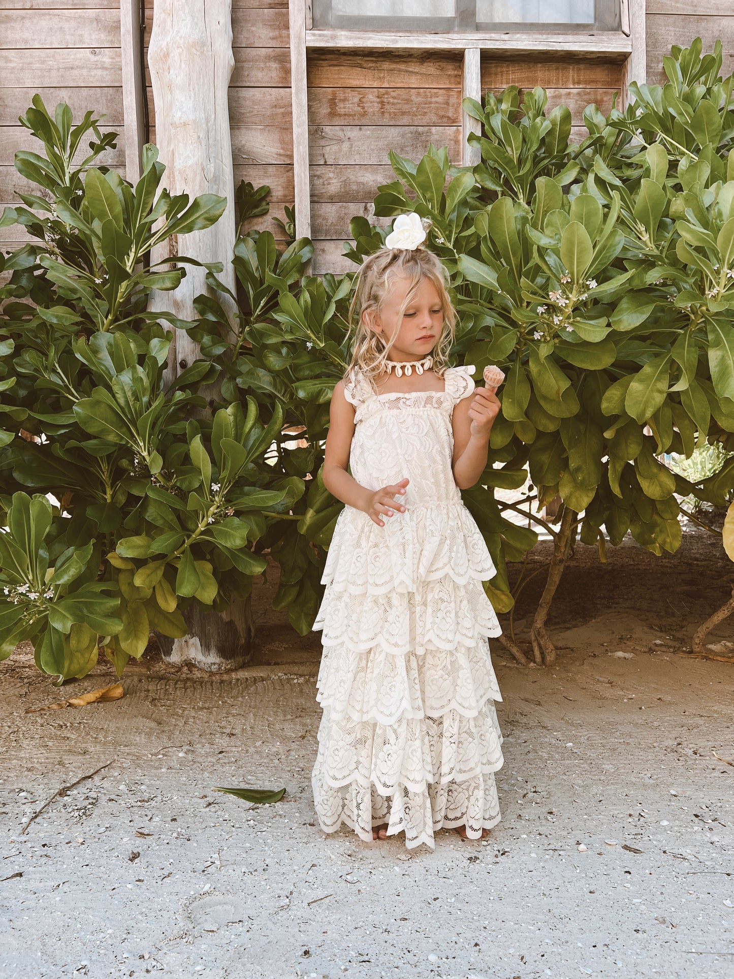 THE DOLLY DRESS