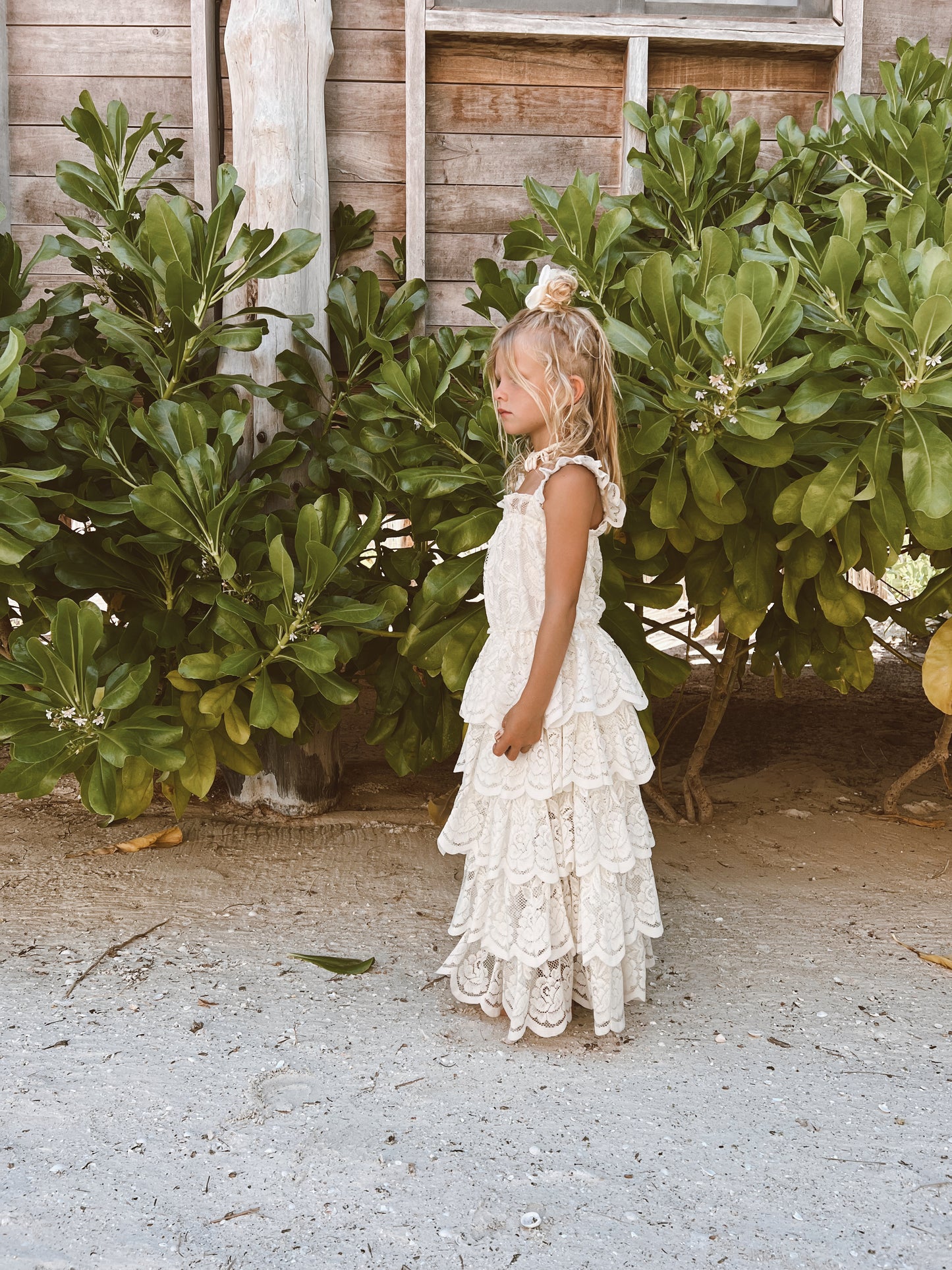 THE DOLLY DRESS