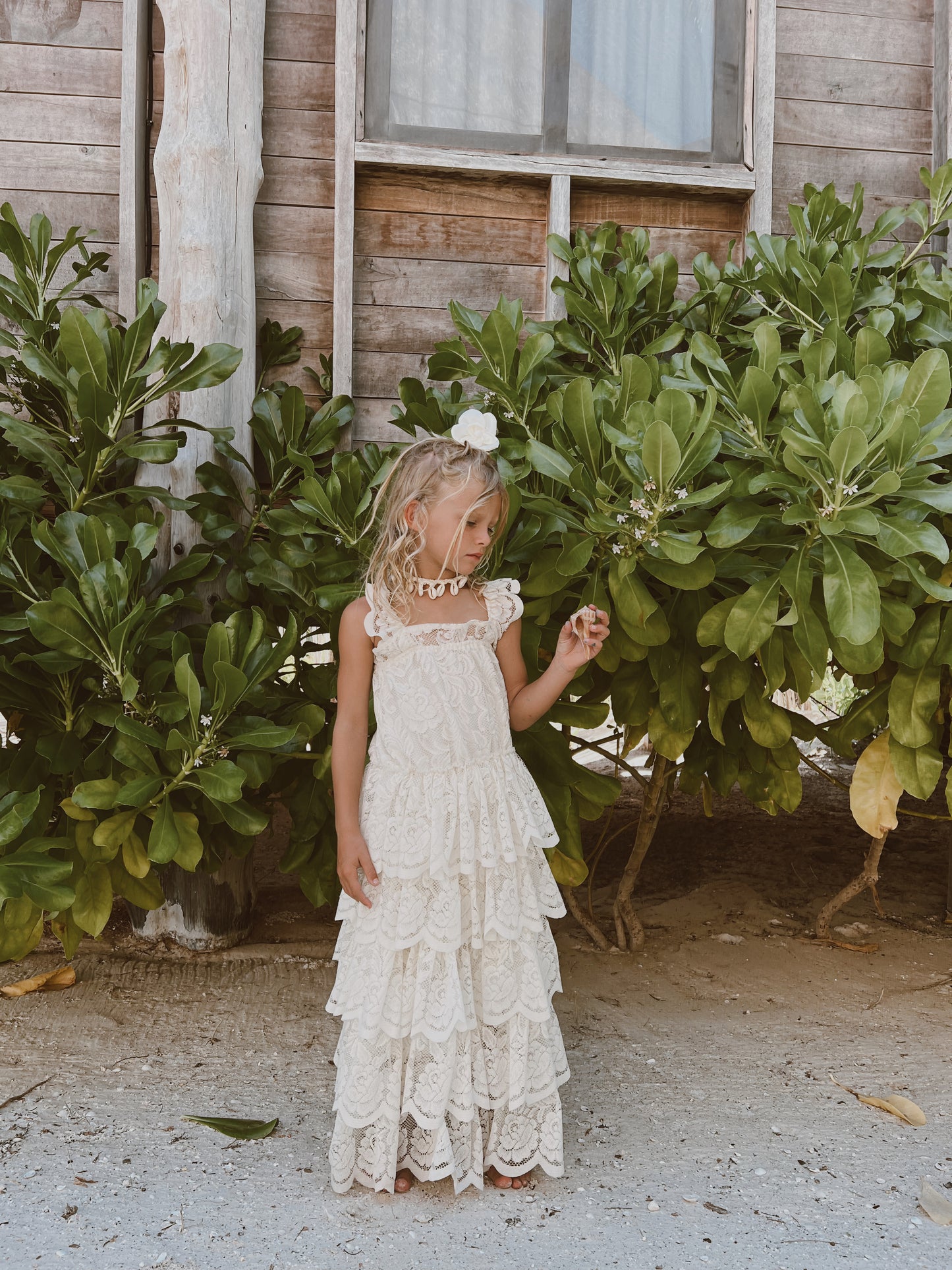 THE DOLLY DRESS